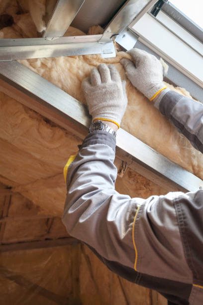 Best Insulation Installation Services in Woodbridge, VA