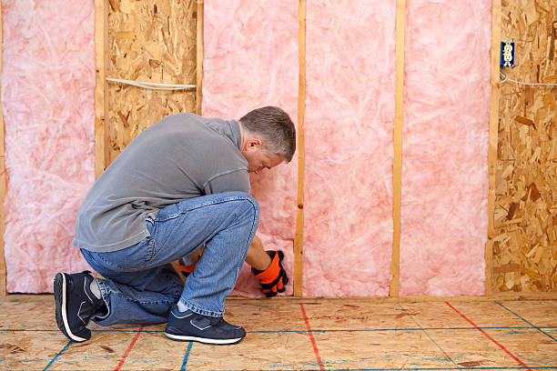 Best Insulation Installation Services in Woodbridge, VA
